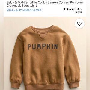 “Pumpkin” sweatshirt